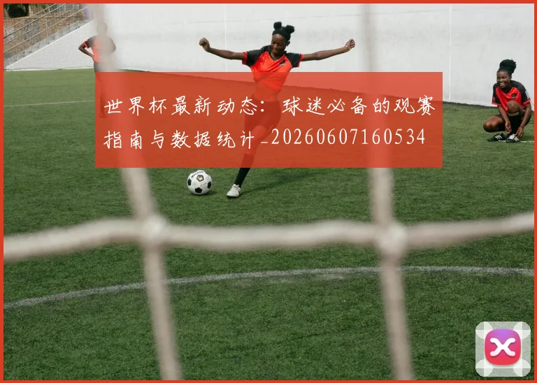世界杯最新动态:球迷必备的观赛指南与数据统计_20260607160534