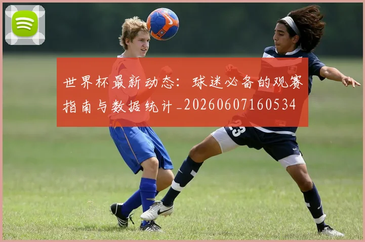 世界杯最新动态:球迷必备的观赛指南与数据统计_20260607160534